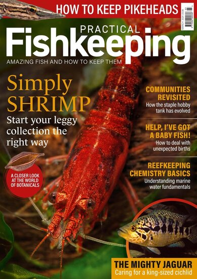 Practical Fishkeeping Magazine