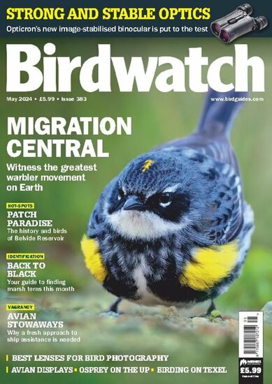 Birdwatch Magazine