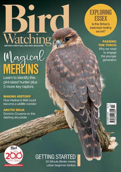 Bird Watching (UK) Magazine